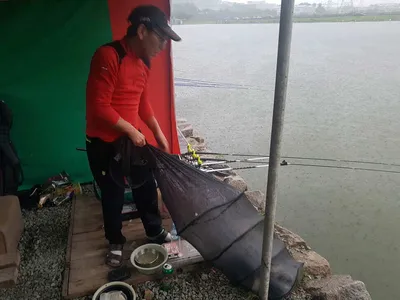 [경기도 안성] 거청낚시터 붕어조황  8월  20일