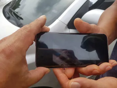 [경기도 안성] 거청낚시터 붕어조황  8월  15 일