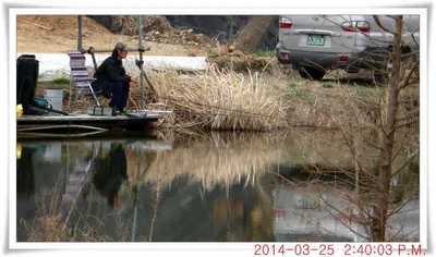 충남 아산 월선낚시터 3월 25일자 조황정보