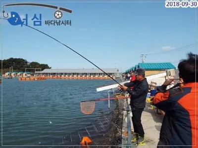 10월01일 어심바다낚시터조황