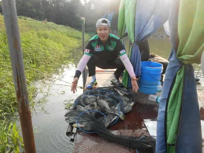 *****실시간 조황사진*****