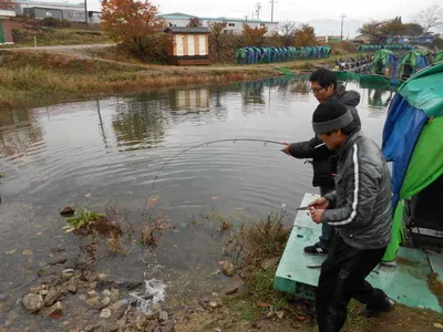 포천초원낚시터조황입니다~~