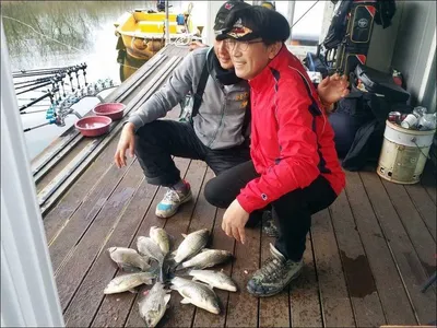 17.04.03 송전지 서울집 조황