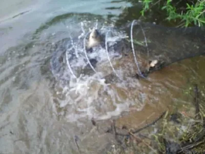 안성 죽산 장계지