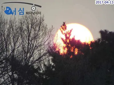 대박-조황(4월13일어심바다낚시터조황)