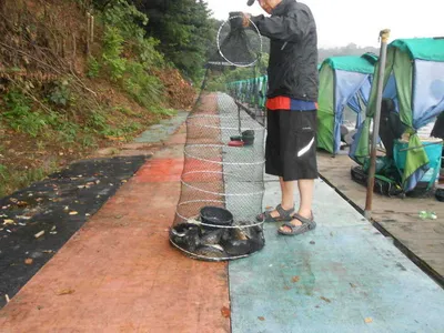 *****실시간 조황올립니다*****