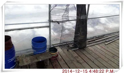 월선지 물 다 녹았네요.....