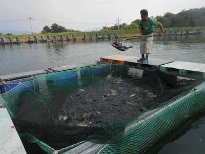 *****실시간 조황사진 올려봅니다*****