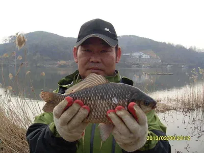 "당진 가교리지" 토종 지렁이 긴급공수,