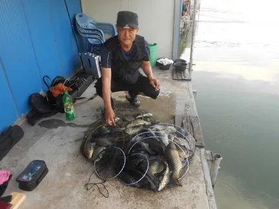 ^^조황소식&수상좌대이벤트^^