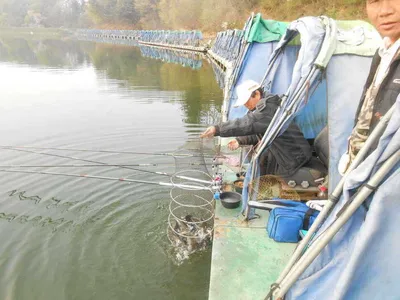 *****실시간 조황사진 입니다*****