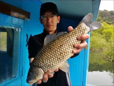 16.04.28 송전지 서울집 조황