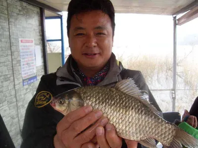 [당진 가교리지] 씨알좋은 덩어리들...