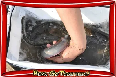 [유일낚시터] 금요일 철갑이방류후에 용병추가 방류합니다 ~~!