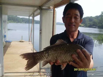 토종4짜가아니라38cm입니다