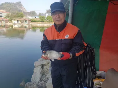 경기도  안성  거청낚시터  붕어조황  4월 27일