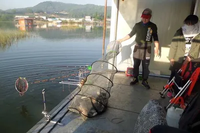 부처님오신날 오목지 조황~~~