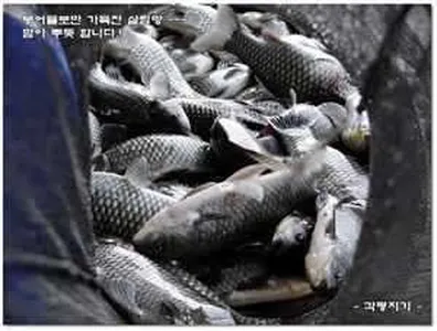 [각평지] 5월 마지막주 황금연휴 호조황 속의 각평