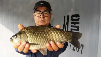 송전지 서울집 6월24일 조황