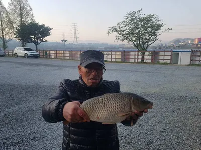 경기도  안성  거청낚시터  붕어조황  4월 28일