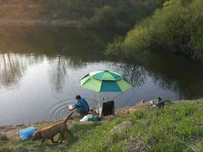 안성 죽산 장계지