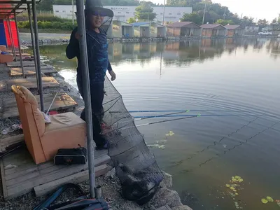 만수위의  거청낚시터 가족낚시터 붕어조황  5월  22