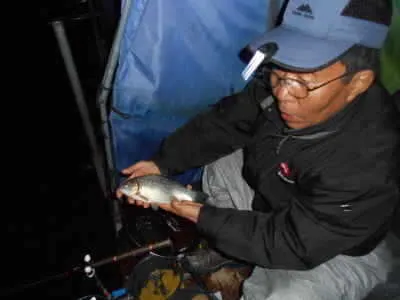 포천 초원낚시터 조황과 송어낚시 예정소식입니다^^^