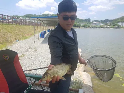 만수위의  거청낚시터 가족낚시터 붕어조황  5월  27