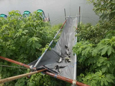 *****실시간 조황사진*****