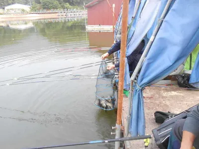 *****실시간 조황사진*****