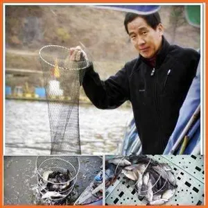 [각평지] 11월 19일 (주말) 조황정보