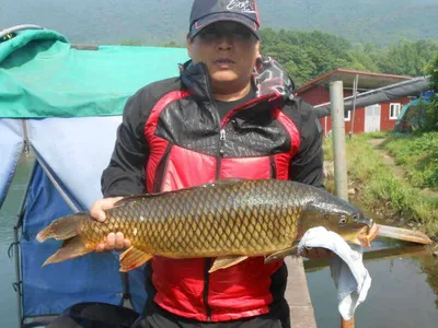 *****실시간 조황사진 올려봅니다*****