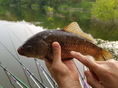 아름다운장계지에서