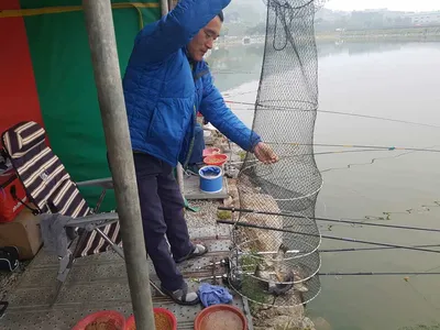 수위변동  없는  낚시터  5월  12일  붕어조황