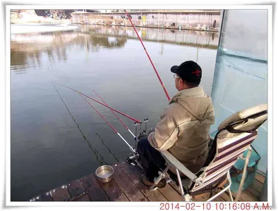 충남 아산 월선낚시터 2월 10일 조황정보