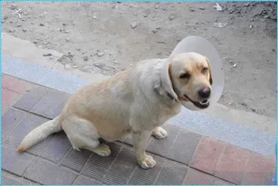 [유일낚시터]오늘이면 배수끝 ~~~!