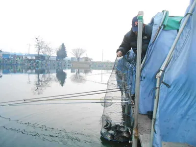 ^^실시가 조황사진^^