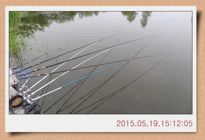 충남 아산 월선낚시터 5월 21일자 스케치