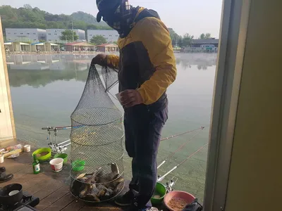 만수위의  거청낚시터  붕어조황  5월  7일