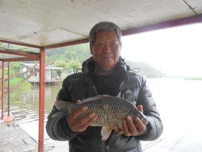 [당진 가교리지] 토종 "큰붕어" 계속 폭발적인 입질..