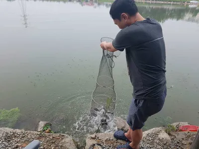 [경기도 안성] 거청낚시터 붕어조황  8월  19 일