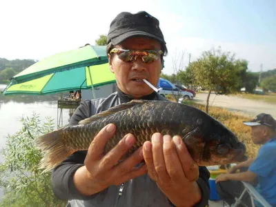 [당진 가교리지  조황화보..]