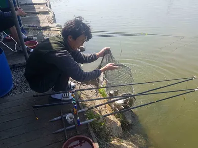 만수위의  거청낚시터 가족낚시터 붕어조황  6월  13