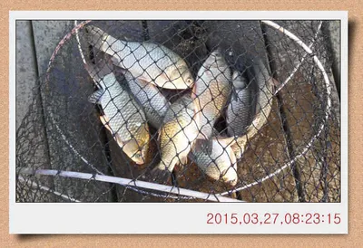 충남 아산 월선낚시터 3월 27일자 스케치