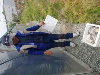 수위변동  없는  낚시터  5월  09일  붕어조황