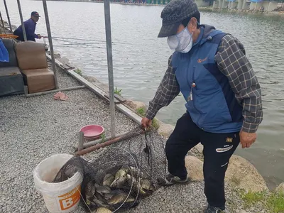 만수위의  거청낚시터  붕어조황  5월  17일