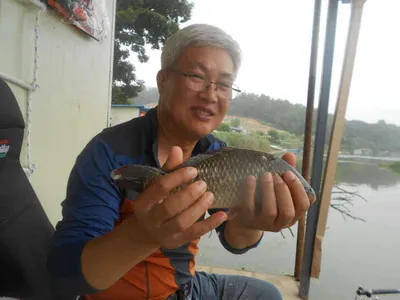 [당진 가교리지 주중 조황정보..]