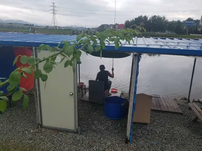 [경기도 안성] 거청낚시터 붕어조황  8월  22일