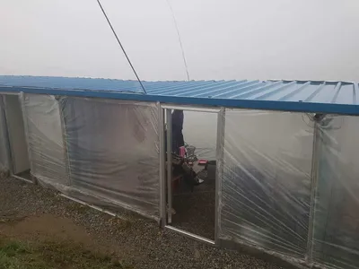 안성  거청낚시터  붕어조황  7월  13  일