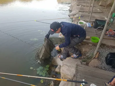 만수위의  거청낚시터 가족낚시터 붕어조황  5월  26